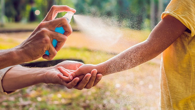 Schutz vor Insekten und Zecken