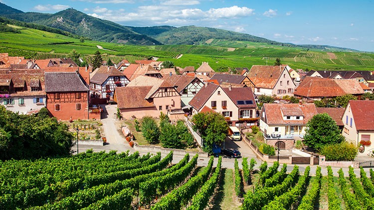 Weinberg im Elsass mit Ansicht eines Dorfes