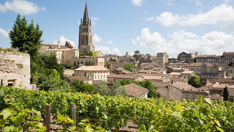 Weinberg Saint-Emilion in Bordeaux