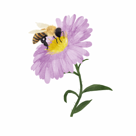 Illustration einer Biene auf einer Blume