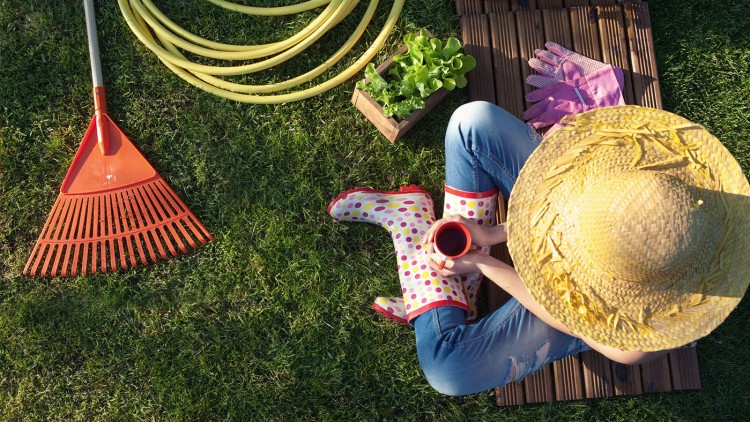 Gartenpflege im Sommer