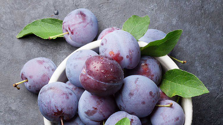 Frische, violette Pflaumen mit grünen Blättern in einer weißen Schüssel auf einer dunklen Steinoberfläche.