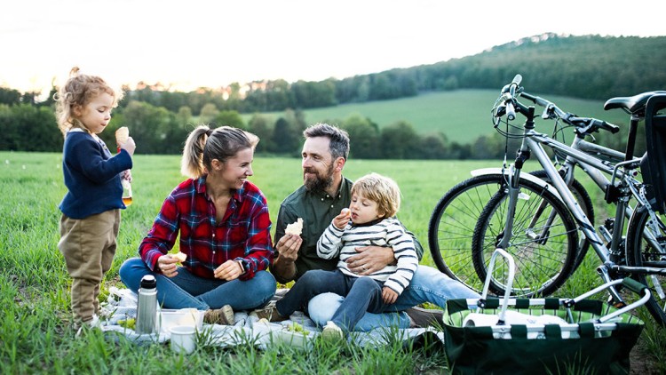 Eine Familie bem Picknick in der Natur