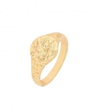 Damen Ring aus Silber 925, vergoldet (4056874025263)