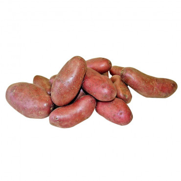 Kartoffeln, vorwiegend festkochend rot, Beutel
